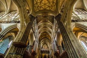 Cathedral Salisbury roof