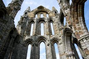 Whitby Ruins History