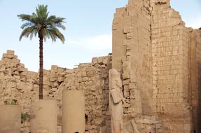 Egypt Karnak Temple and palm