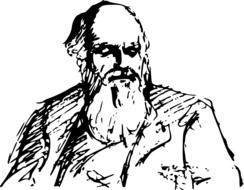 ravishing charles darwin evolution drawing