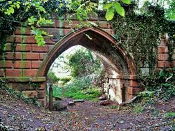 ruins of gothic architecture among the trees