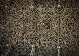ravishing Cathedral Ceiling
