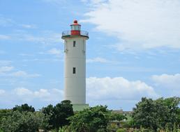 Lighthouse White Tall green tree