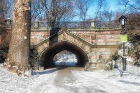 Central Park New York snow