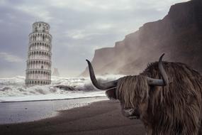 Pisa Leaning Tower and bison