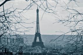 Eiffel Tower Paris and tree