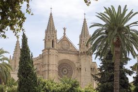 delightful Mallorca Palma cathedral