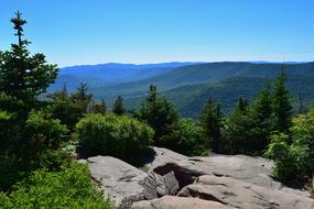 magnificent green tree Mountains