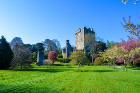 medieval irish castle