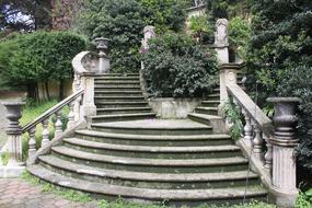 Mexico Stairs garden