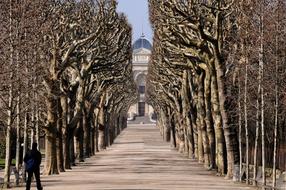 man in the alley leading to the Museum of Natural History in Paris