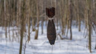 War Mine snow forest