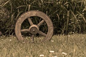 Old Wheel