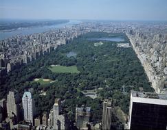 wonderful Central Park, Manhattan