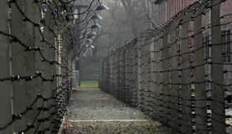 Auschwitz Concentration