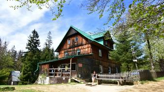 trees near a wooden house