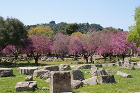 Beautiful and colorful plants near the monument on Peloponnes in Greece