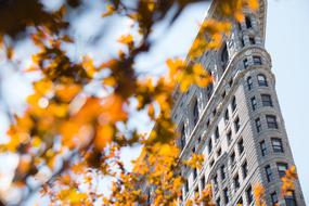 Flatiron Building in new york in a blurred background