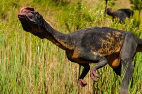 Colorful models of the dinosaurs, among the colorful grass
