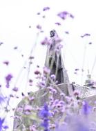 purple flowers on the background of the sculpture