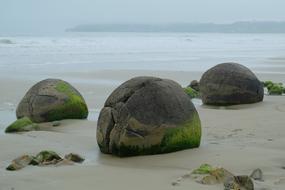 Koekohe Beach stone