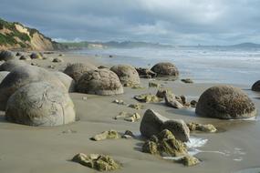 Moeraki Koekohe Beach