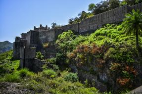 Fort and Green trees