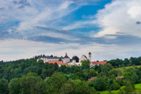 Landscape Castle and forest