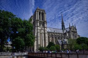 Notre Dame de Paris cathedral at summer, france, paris