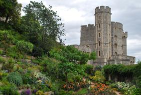 Windsor Castle trees