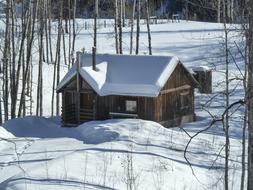 wooden hut in Snowy forest