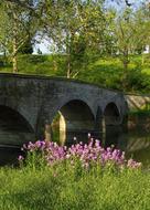 Maryland Bridge