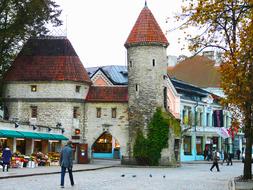 medieval architecture of tallinn