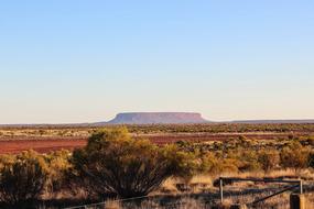 Australia Nature desert