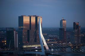 Cityscape Bridge blue night lights