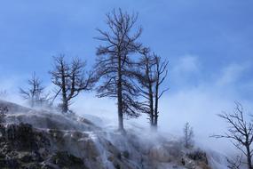 smoke in Yellowstone national park