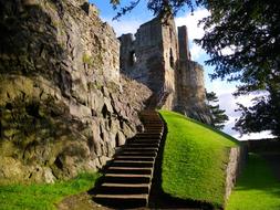 Historic Castle Tourist