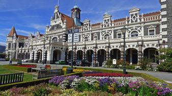 Dunedin garden