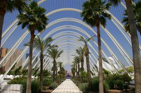 Beautiful park, with the colorful plants, in Valencia, Spain, among the buildings, at blue sky on background