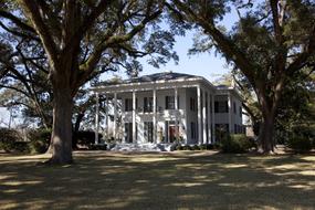 Mansion Historic Landmark and tree