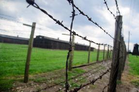 camp barbwire fence in Poland