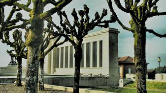 Tree and Architecture Building