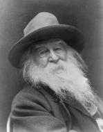 black and white photo of the writer Walt Whitman