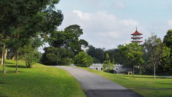 Tree Grass Nature park