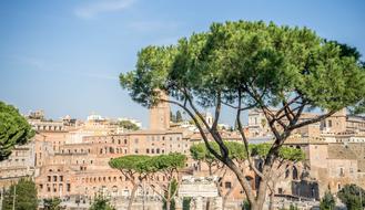 Beautiful cityscape of Rome, with buildings and green trees in Italy