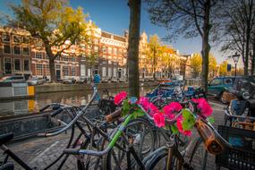 Amsterdam Channel, flowers and bike