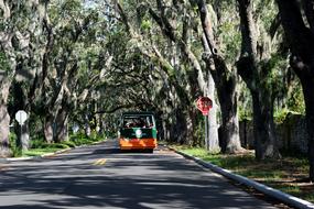 Historic Magnolia Ave Stret and bus
