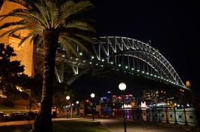 Harbor Bridge at night