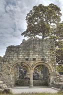 Holywell Abbey Historical and tree