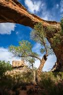 Sipapu Bridge Formation